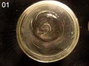 圣誕布丁的做法步驟5