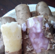 山藥變紫能吃嗎 山藥變紫怎么回事