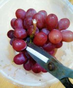 提子怎么洗才干凈 提子的清洗方法介紹