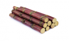 甘蔗是熱性還是涼性 甘蔗是酸性還是堿性