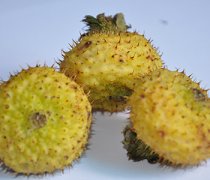 【刺梨怎么吃最好】刺梨有什么功效_刺梨可以泡酒嗎