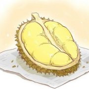 【榴蓮的營養(yǎng)價(jià)值】榴蓮的功效與作用_榴蓮不能和什么一起吃