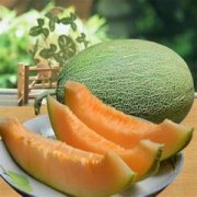 【哈密瓜怎么榨汁】哈密瓜榨汁喝的好處_哈密瓜榨汁的營養(yǎng)價(jià)值