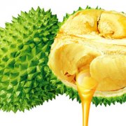 【榴蓮不能和什么一起吃】榴蓮的功效與作用_榴蓮的營養(yǎng)價(jià)值