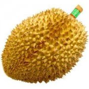 【榴蓮的保存方法】榴蓮怎么吃_榴蓮的營養(yǎng)價(jià)值