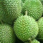 【榴蓮殼怎么吃】榴蓮殼煲雞湯_榴蓮殼的功效與作用