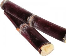 【甘蔗是什么季節(jié)的】甘蔗是哪里