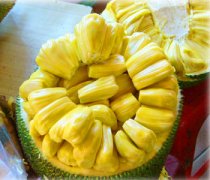 【菠蘿蜜的膠怎么洗】菠蘿蜜的功效_菠蘿蜜怎么挑選