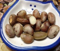 【菠蘿蜜的核怎么吃】菠蘿蜜的核能吃嗎