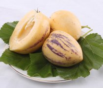 【人參果的功效與作用】人參果的