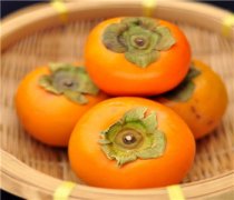 【柿子和蘋果能一起吃嗎】柿子和蘋果要怎么吃_柿子和蘋果的營養(yǎng)價值