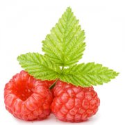 【桑葚的功效與作用】桑葚有哪些