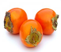 【柿子吃多了會胖嗎】柿子怎么保存_柿子不能和什么一起吃