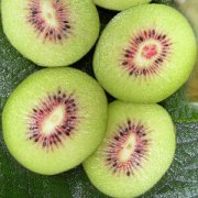 【獼猴桃是熱帶水果嗎】獼猴桃怎么變軟_獼猴桃怎么保存