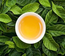 【枇杷葉燉冰糖】枇杷葉燉冰糖的