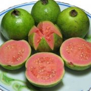 【孕婦可以吃番石榴嗎】孕婦能吃番石榴嗎