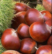 【鮮板栗】鮮板栗好吃嗎_鮮板栗的功效