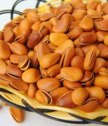 【松仁的營養(yǎng)價(jià)值】松仁的功效與