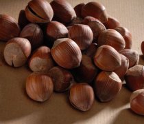 【榛子是什么】榛子的營養(yǎng)價值_