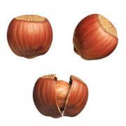 【榛子的熱量】榛子有營養(yǎng)嗎_哪