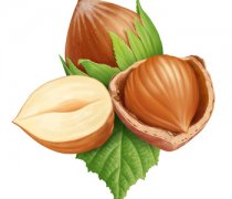 【生榛子能吃嗎】生榛子怎么吃_