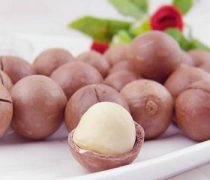 【夏威夷果好吃嗎】夏威夷果的生長環(huán)境_夏威夷果的熱量