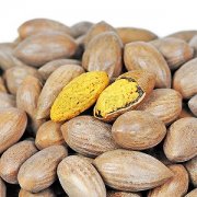 【香榧子怎么吃】香榧子的功效與