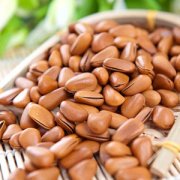 【松子的功效與作用】松子的營養(yǎng)價值