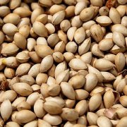 【白果燉雞的做法】白果燉雞的營