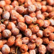 【白果可以祛斑嗎】白果的功效與