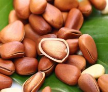 【松子的副作用】松子吃多了好嗎_松子發(fā)芽能吃嗎_松子的營養(yǎng)價值