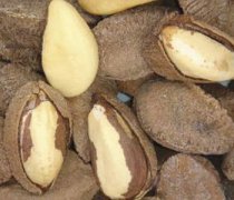 【鮑魚(yú)果的營(yíng)養(yǎng)價(jià)值】鮑魚(yú)果的功效與作用_鮑魚(yú)果怎樣吃