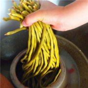【泡豇豆的腌制方法】泡豇豆的營養(yǎng)價值_泡豇豆的食用禁忌