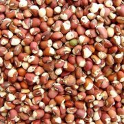 【花豇豆的功效與作用】花豇豆怎么吃_花豇豆的適用人群