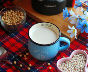 祛濕薏米豆?jié){的家常做法