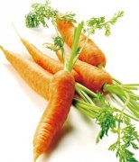 【胡蘿卜的功效】胡蘿卜的做法_胡蘿卜怎么吃護(hù)眼