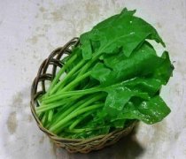 【涼拌菠菜梗】涼拌菠菜梗的做法_涼拌菠菜梗的營養(yǎng)價值