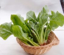 【炒菠菜的做法】炒菠菜要焯水嗎_炒菠菜能放醋嗎_炒菠菜的營養(yǎng)價值