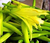 【新鮮黃花菜怎么處理】黃花菜的營養(yǎng)價值_黃花菜有毒嗎