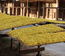 【新鮮黃花菜怎么曬干】新鮮黃花菜怎么處理_新鮮黃花菜有毒嗎