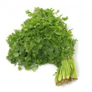 【香菜的副作用】香菜有什么壞處_香菜有毒嗎