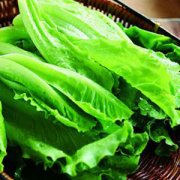【生菜的營(yíng)養(yǎng)價(jià)值】生菜的功效與作用