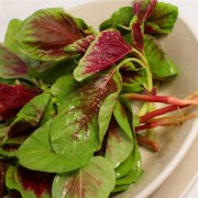 【莧菜的功效與作用】莧菜的營(yíng)養(yǎng)價(jià)值