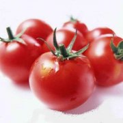 【西紅柿炒菜花】西紅柿炒菜花的做法_西紅柿炒菜花的營(yíng)養(yǎng)價(jià)值