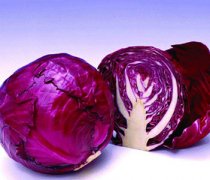 【紫甘藍(lán)的做法大全】紫甘藍(lán)怎么做好吃