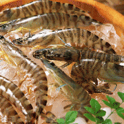 【蝦的營養(yǎng)價值】蝦的做法大全_蝦的營養(yǎng)價值及功效