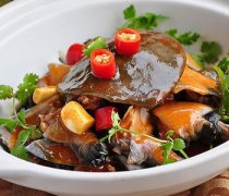 【甲魚怎么殺】甲魚的做法大全_甲魚的營養(yǎng)價值