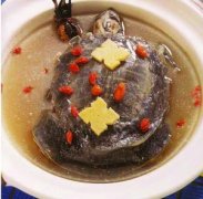 【吃甲魚過敏怎么辦】吃甲魚過敏癥狀