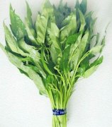 【空心菜的營養(yǎng)價值】空心菜的功效與作用