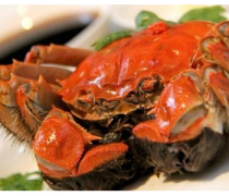 【青蟹怎么殺】青蟹是什么_青蟹